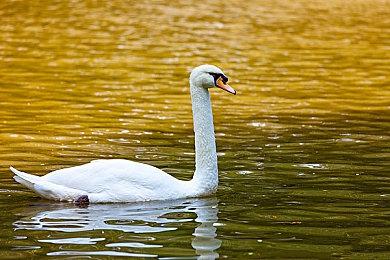 金主爸爸强扭 开发者透露《50美分：血洗沙地》内幕